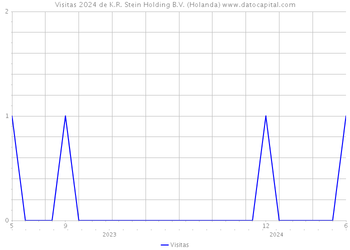 Visitas 2024 de K.R. Stein Holding B.V. (Holanda) 