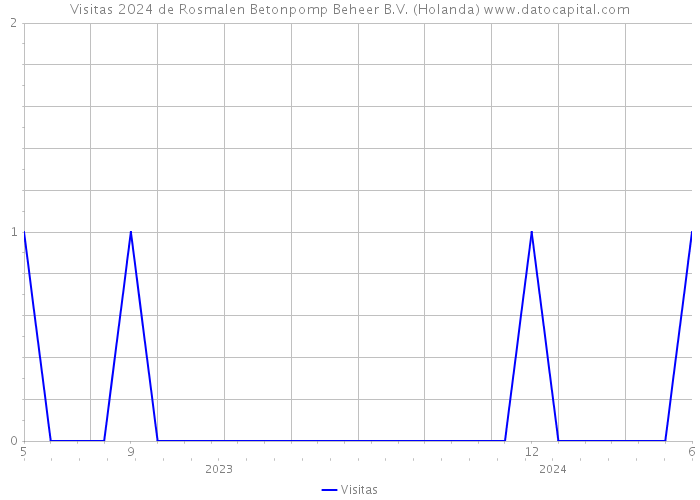 Visitas 2024 de Rosmalen Betonpomp Beheer B.V. (Holanda) 