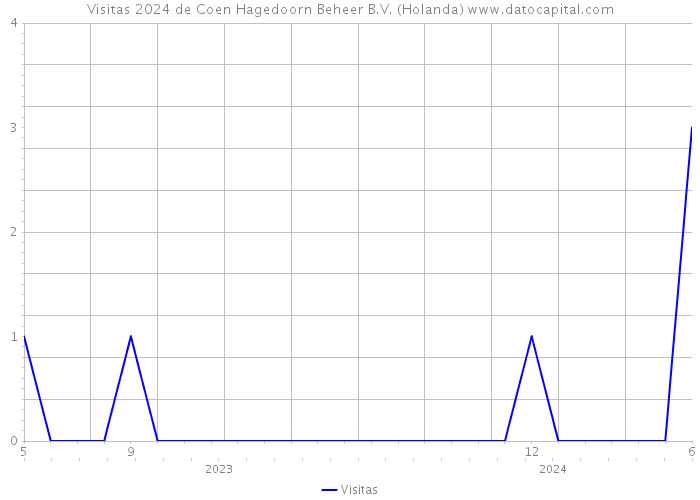 Visitas 2024 de Coen Hagedoorn Beheer B.V. (Holanda) 