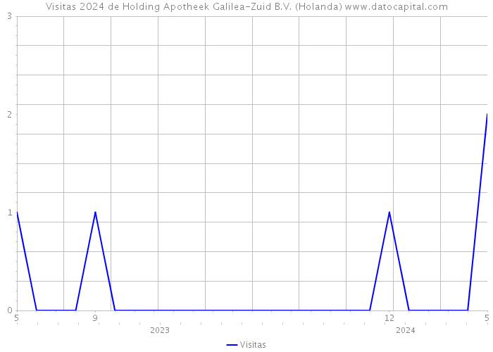 Visitas 2024 de Holding Apotheek Galilea-Zuid B.V. (Holanda) 