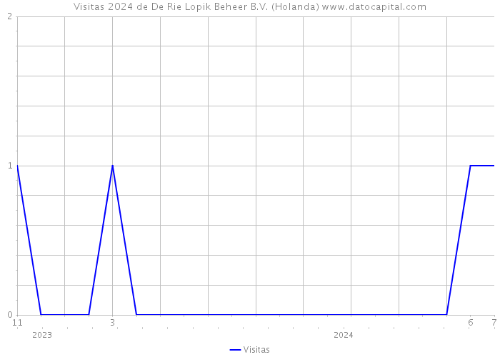 Visitas 2024 de De Rie Lopik Beheer B.V. (Holanda) 