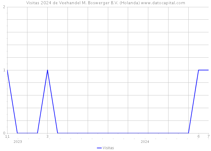Visitas 2024 de Veehandel M. Boswerger B.V. (Holanda) 