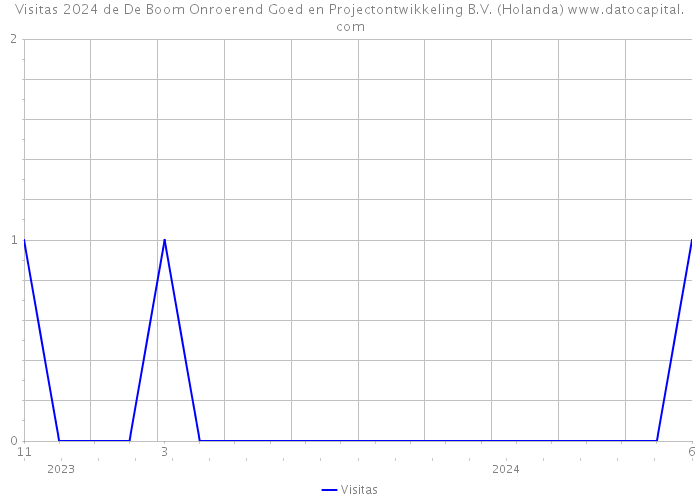 Visitas 2024 de De Boom Onroerend Goed en Projectontwikkeling B.V. (Holanda) 