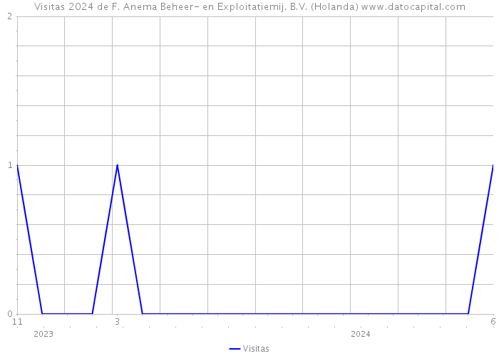 Visitas 2024 de F. Anema Beheer- en Exploitatiemij. B.V. (Holanda) 