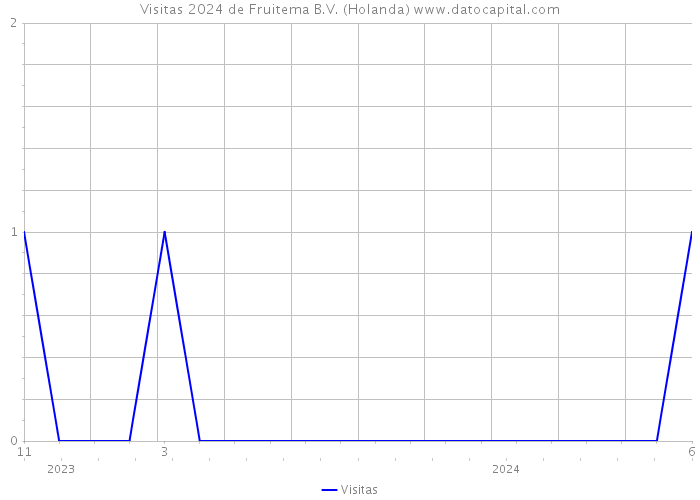 Visitas 2024 de Fruitema B.V. (Holanda) 