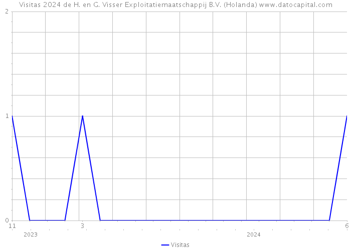 Visitas 2024 de H. en G. Visser Exploitatiemaatschappij B.V. (Holanda) 