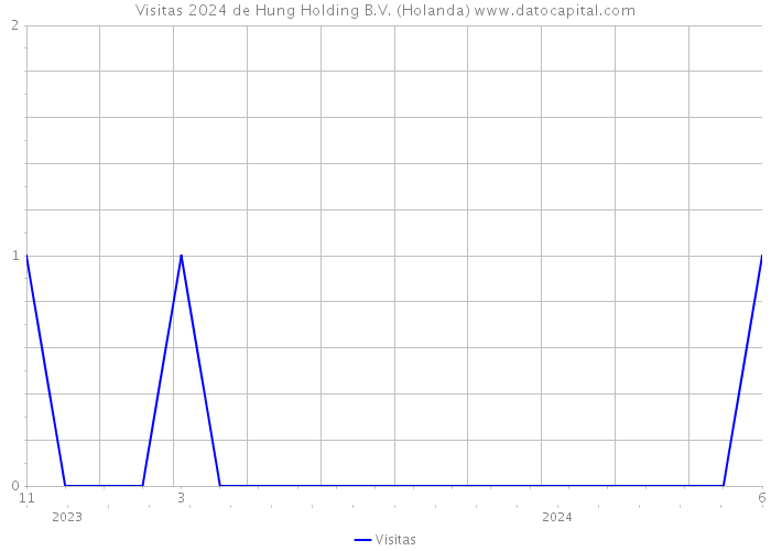 Visitas 2024 de Hung Holding B.V. (Holanda) 