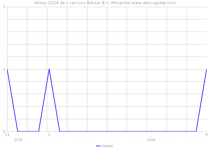 Visitas 2024 de J. van Loo Beheer B.V. (Holanda) 