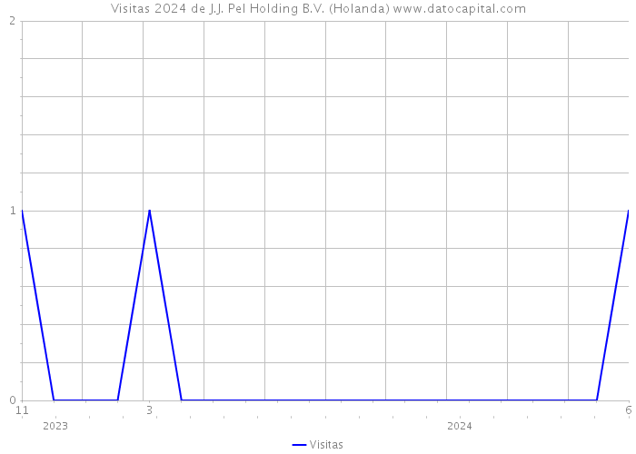 Visitas 2024 de J.J. Pel Holding B.V. (Holanda) 