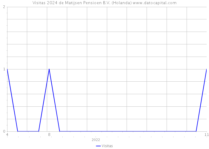 Visitas 2024 de Matijsen Pensioen B.V. (Holanda) 