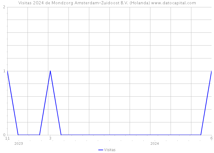 Visitas 2024 de Mondzorg Amsterdam-Zuidoost B.V. (Holanda) 
