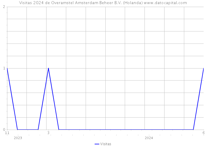 Visitas 2024 de Overamstel Amsterdam Beheer B.V. (Holanda) 