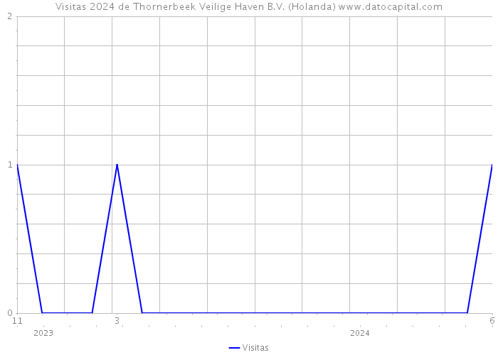 Visitas 2024 de Thornerbeek Veilige Haven B.V. (Holanda) 