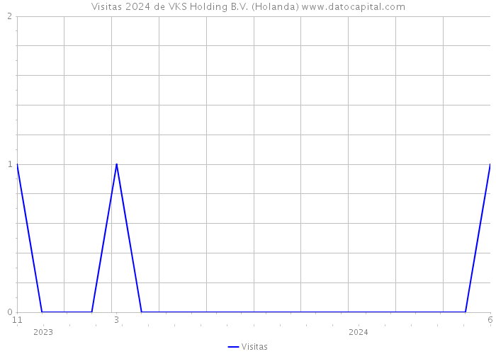 Visitas 2024 de VKS Holding B.V. (Holanda) 