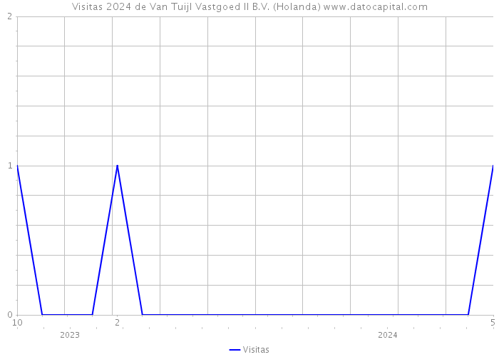 Visitas 2024 de Van Tuijl Vastgoed II B.V. (Holanda) 