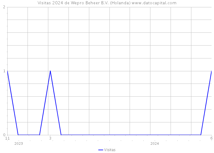 Visitas 2024 de Wepro Beheer B.V. (Holanda) 