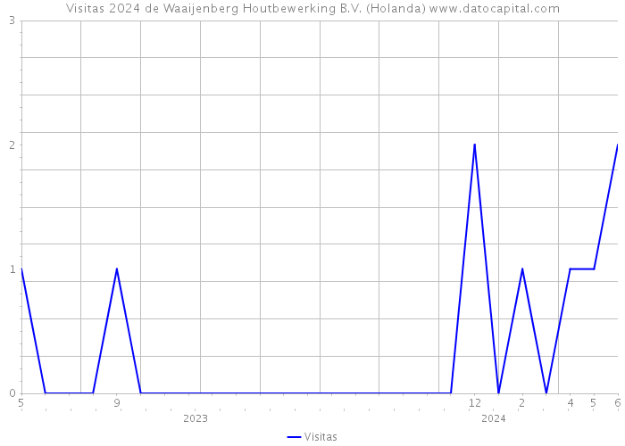 Visitas 2024 de Waaijenberg Houtbewerking B.V. (Holanda) 