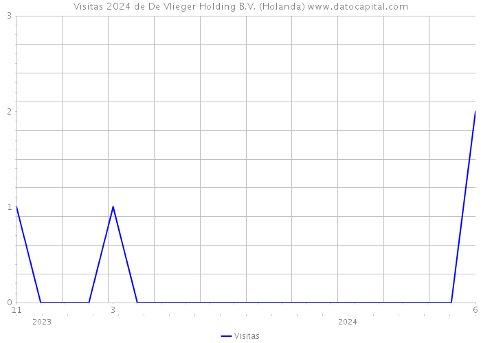 Visitas 2024 de De Vlieger Holding B.V. (Holanda) 