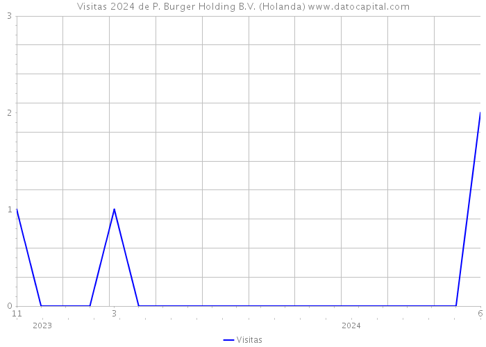 Visitas 2024 de P. Burger Holding B.V. (Holanda) 