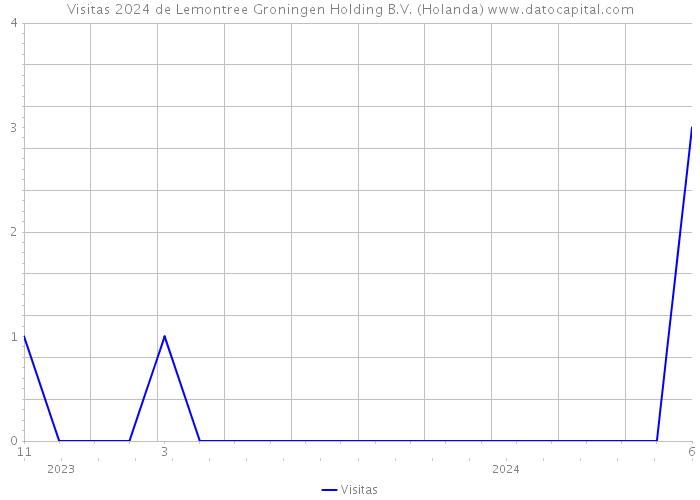 Visitas 2024 de Lemontree Groningen Holding B.V. (Holanda) 