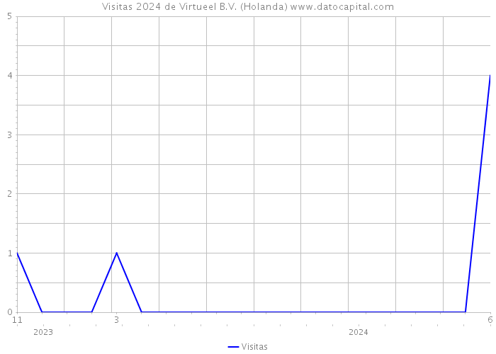 Visitas 2024 de Virtueel B.V. (Holanda) 