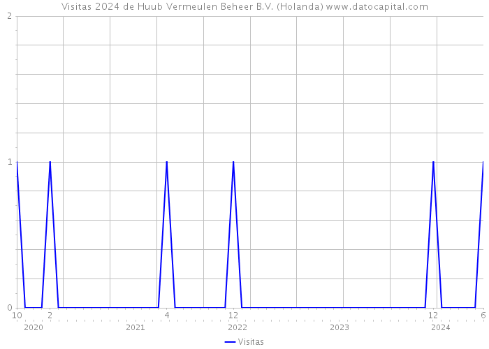 Visitas 2024 de Huub Vermeulen Beheer B.V. (Holanda) 