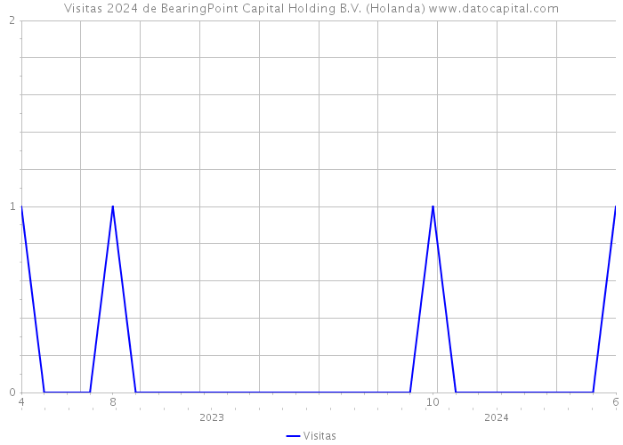 Visitas 2024 de BearingPoint Capital Holding B.V. (Holanda) 