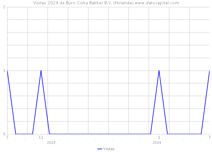 Visitas 2024 de Buro Ciska Bakker B.V. (Holanda) 