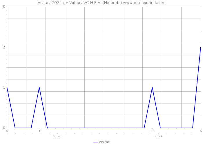Visitas 2024 de Valuas VC H B.V. (Holanda) 