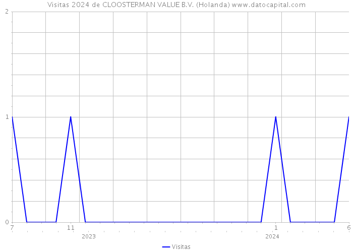 Visitas 2024 de CLOOSTERMAN VALUE B.V. (Holanda) 