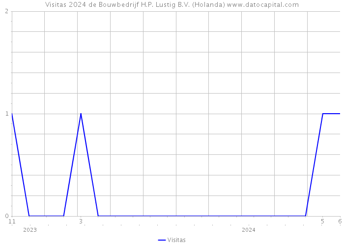 Visitas 2024 de Bouwbedrijf H.P. Lustig B.V. (Holanda) 