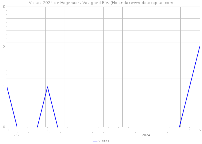 Visitas 2024 de Hagenaars Vastgoed B.V. (Holanda) 