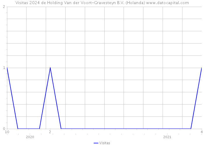 Visitas 2024 de Holding Van der Voort-Gravesteyn B.V. (Holanda) 