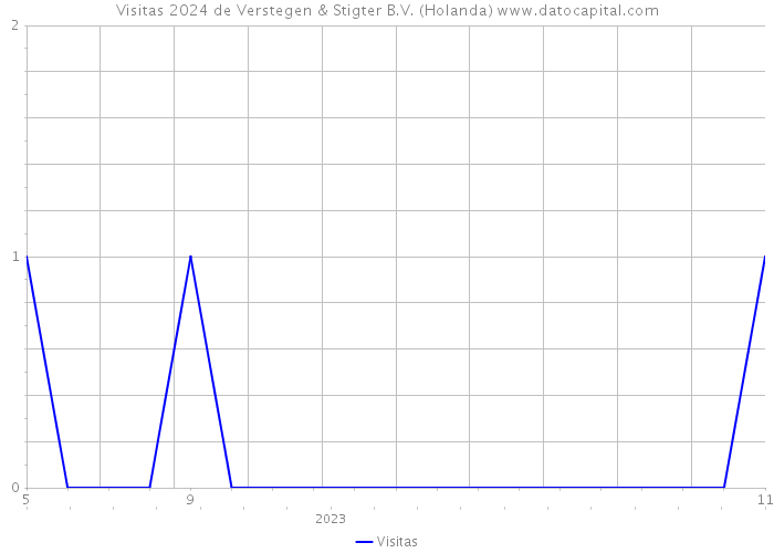 Visitas 2024 de Verstegen & Stigter B.V. (Holanda) 