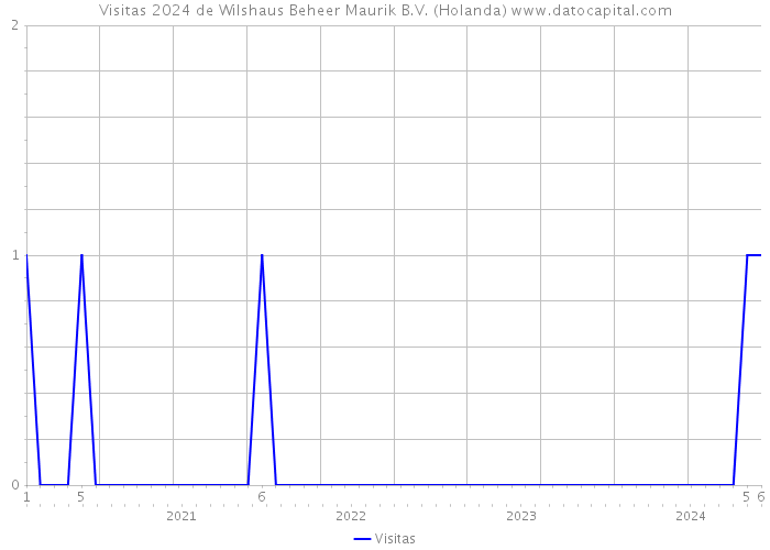 Visitas 2024 de Wilshaus Beheer Maurik B.V. (Holanda) 