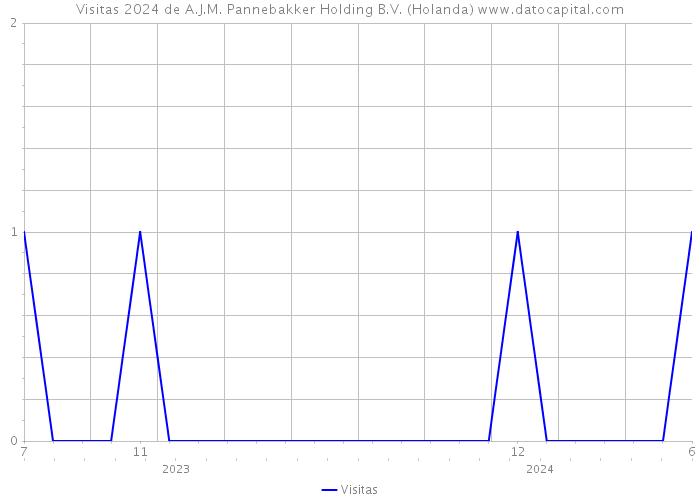 Visitas 2024 de A.J.M. Pannebakker Holding B.V. (Holanda) 