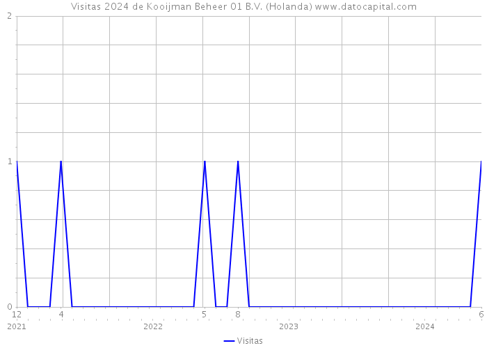 Visitas 2024 de Kooijman Beheer 01 B.V. (Holanda) 