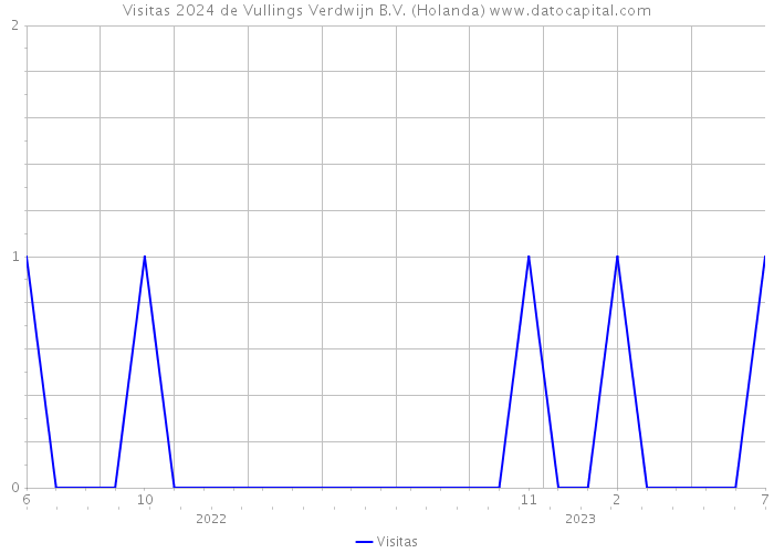 Visitas 2024 de Vullings Verdwijn B.V. (Holanda) 