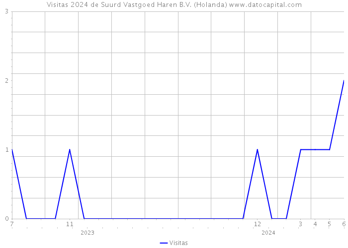 Visitas 2024 de Suurd Vastgoed Haren B.V. (Holanda) 