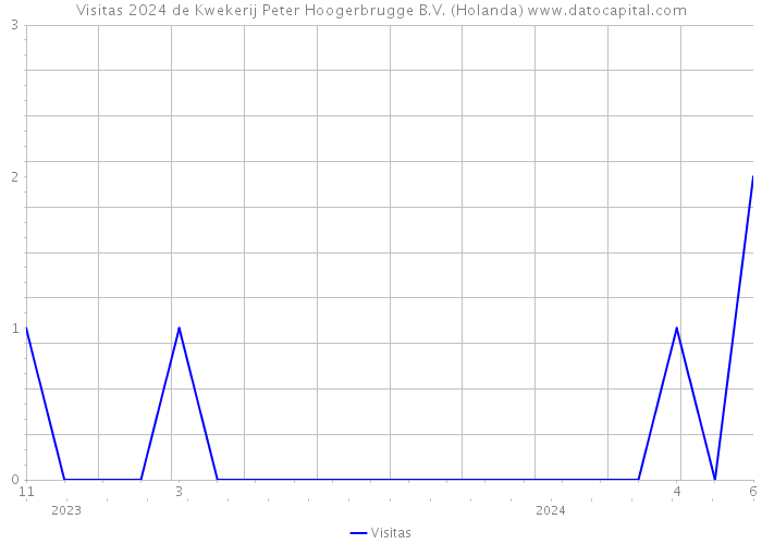 Visitas 2024 de Kwekerij Peter Hoogerbrugge B.V. (Holanda) 