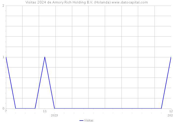 Visitas 2024 de Amory Rich Holding B.V. (Holanda) 