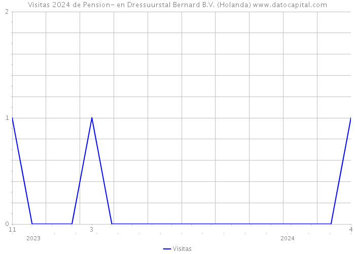 Visitas 2024 de Pension- en Dressuurstal Bernard B.V. (Holanda) 