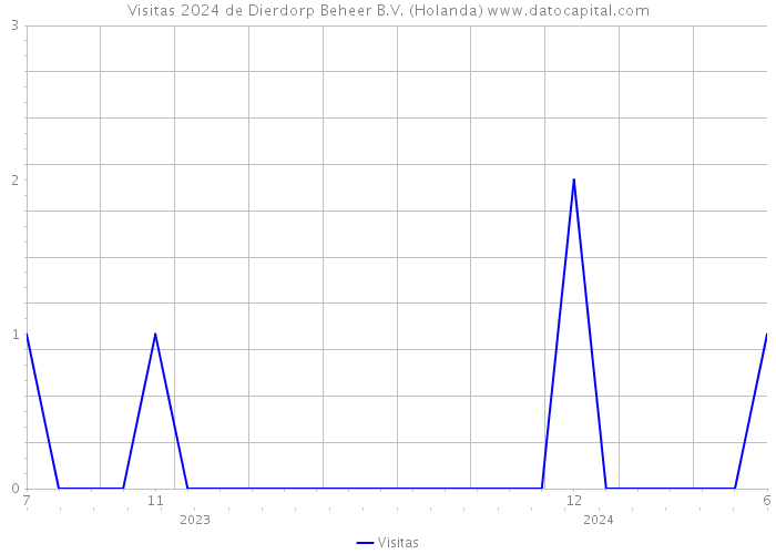 Visitas 2024 de Dierdorp Beheer B.V. (Holanda) 