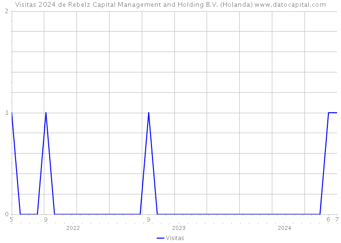 Visitas 2024 de Rebelz Capital Management and Holding B.V. (Holanda) 