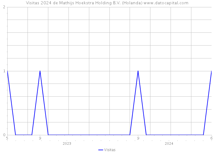 Visitas 2024 de Mathijs Hoekstra Holding B.V. (Holanda) 
