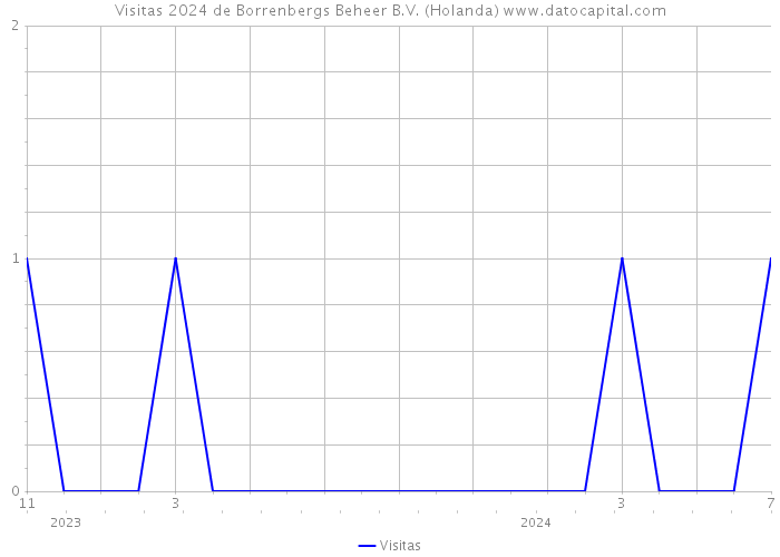 Visitas 2024 de Borrenbergs Beheer B.V. (Holanda) 