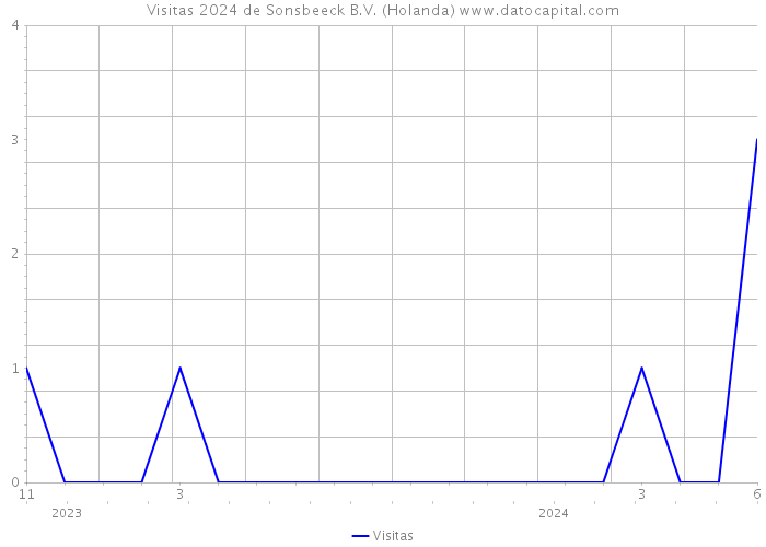 Visitas 2024 de Sonsbeeck B.V. (Holanda) 