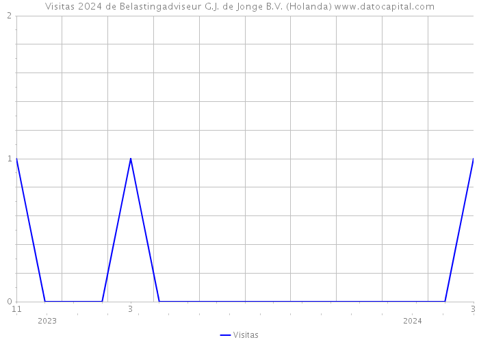 Visitas 2024 de Belastingadviseur G.J. de Jonge B.V. (Holanda) 