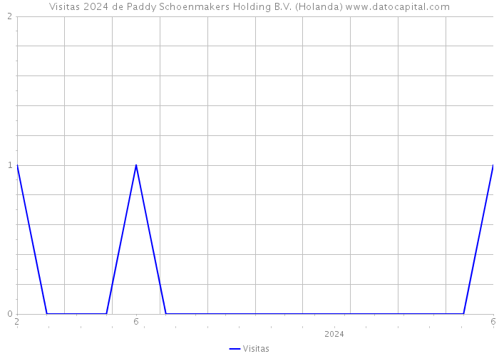 Visitas 2024 de Paddy Schoenmakers Holding B.V. (Holanda) 