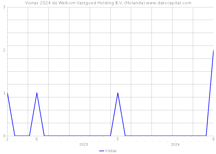 Visitas 2024 de Welkom Vastgoed Holding B.V. (Holanda) 